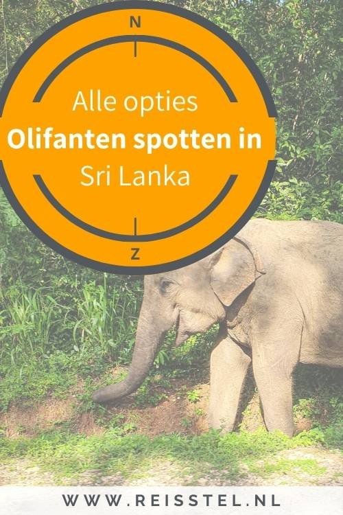 Olifanten in Sri Lanka - olifanten safari - national parks in Sri Lanka