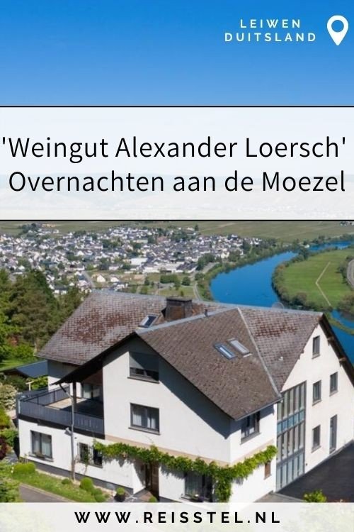 Moezel, must sleep | Alexander Loersch