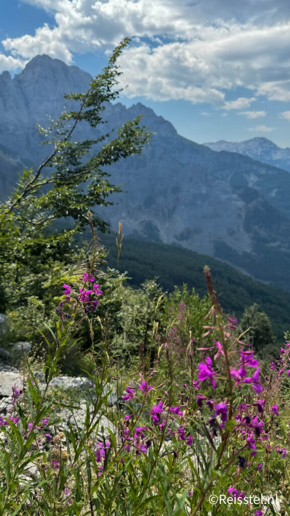 Uitzicht dag 1 | The Balkan Trail