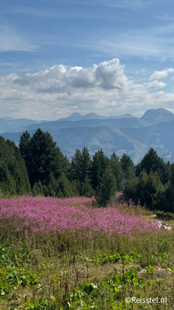 Uitzicht in de Balkan