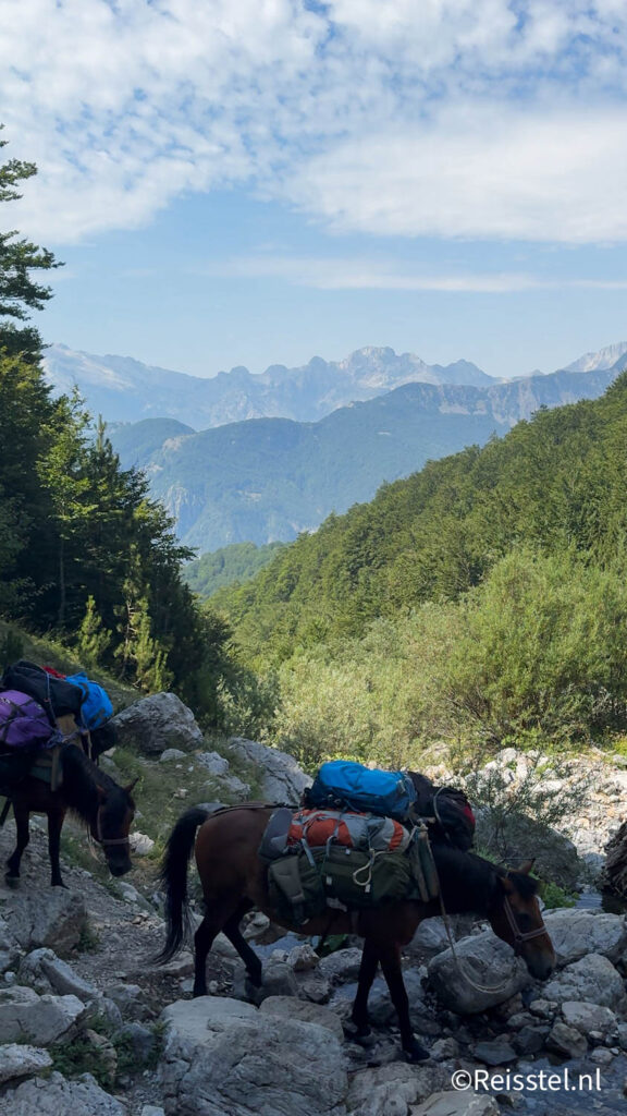 Hiken in de Balkan | bagagetransport met paarden