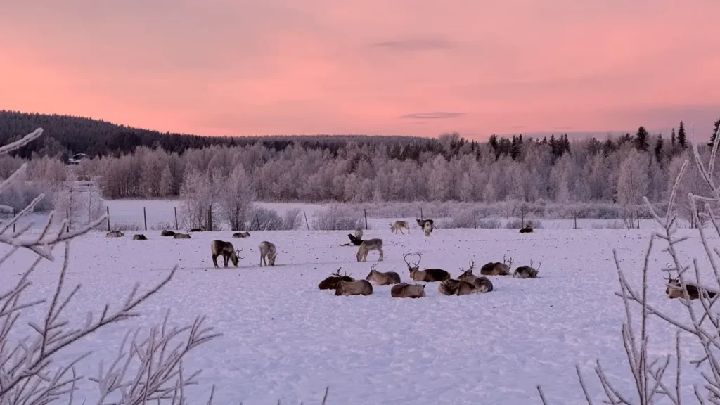 Waar ligt Lapland? | vakantie naar Lapland