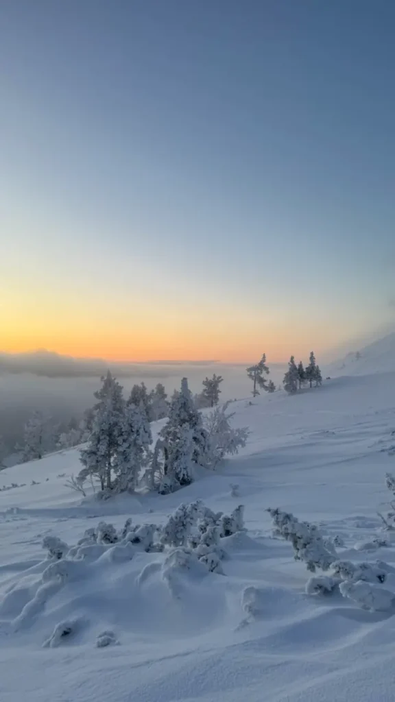 Winter in lapland | landschap