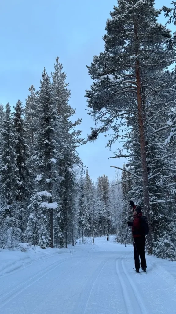 Langlaufen in Lapland