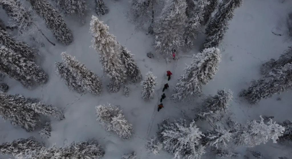 Droneshot | Sneeuwschoenwandelen in Lapland