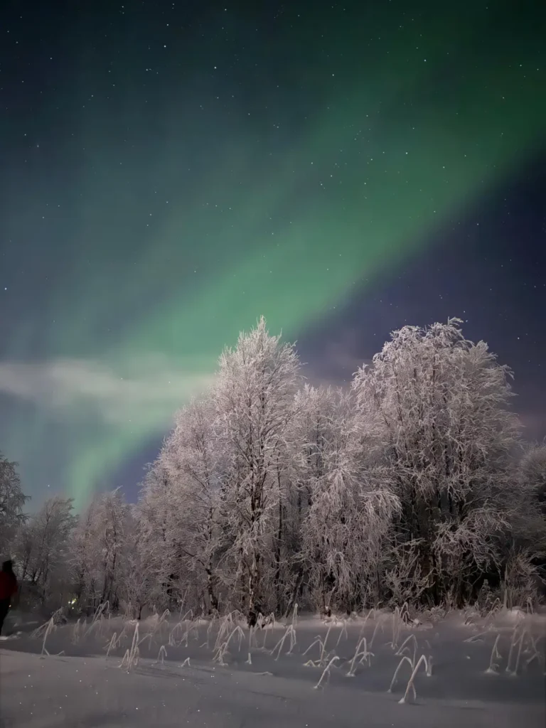 vakantie naar Lapland | Noorderlicht