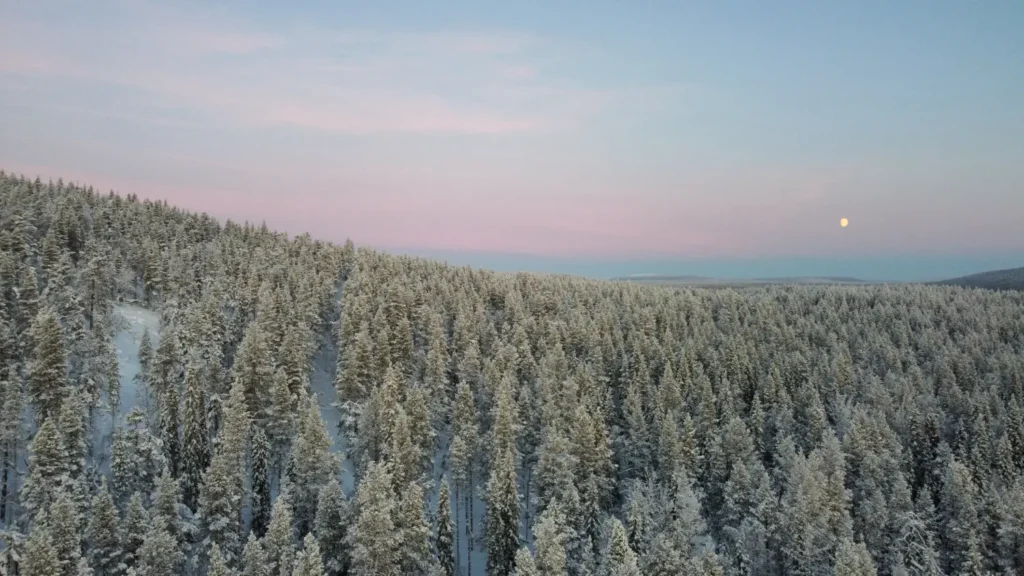 Vakantie naar Lapland | Landschap