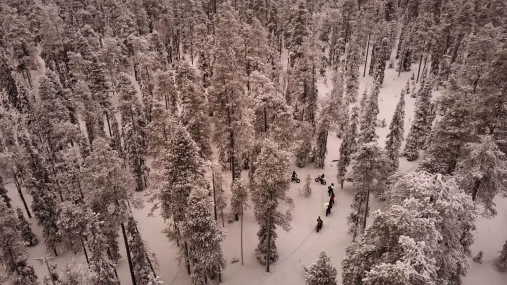 Droneshot | E-fatbiken door de besneeuwde bossen